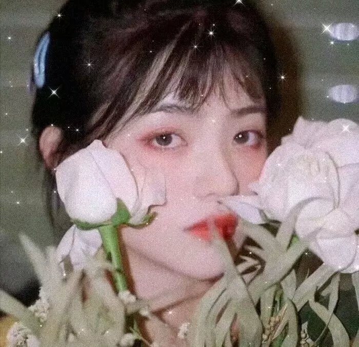 良夜苦果